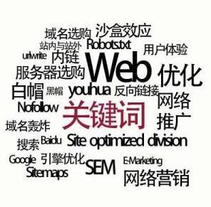 常用的seo專業(yè)術(shù)語(yǔ)有哪些？